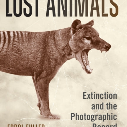 Lost Animals