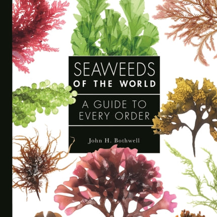 Seaweeds of the World