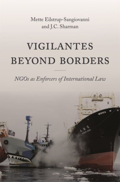 Vigilantes beyond Borders: NGOs as Enforcers of International Law