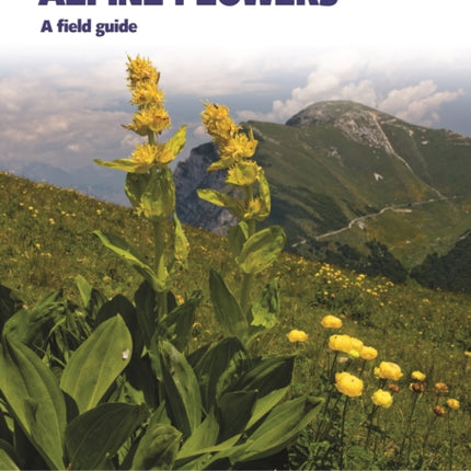 Europes Alpine Flowers