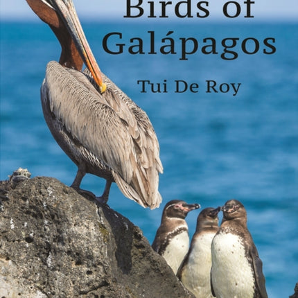 A Pocket Guide to Birds of Galápagos