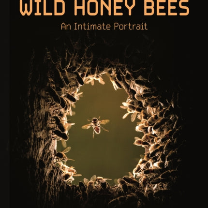 Wild Honey Bees: An Intimate Portrait