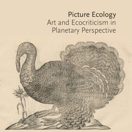 Picture Ecology: Art and Ecocriticism in Planetary Perspective