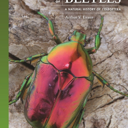 The Lives of Beetles: A Natural History of Coleoptera