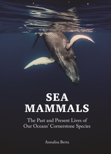 Sea Mammals: The Past and Present Lives of Our Oceans’ Cornerstone Species