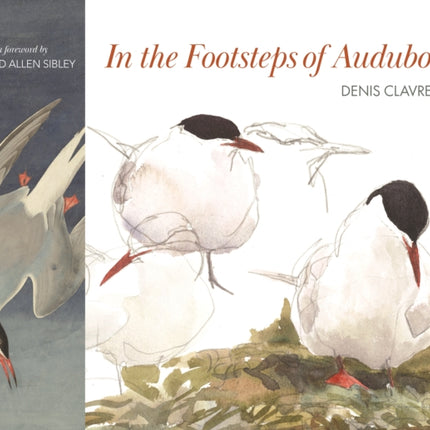 In the Footsteps of Audubon