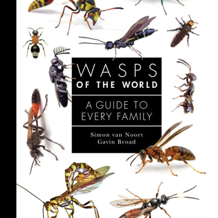 Wasps of the World: A Guide to Every Family