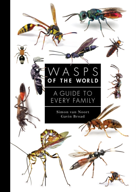 Wasps of the World: A Guide to Every Family