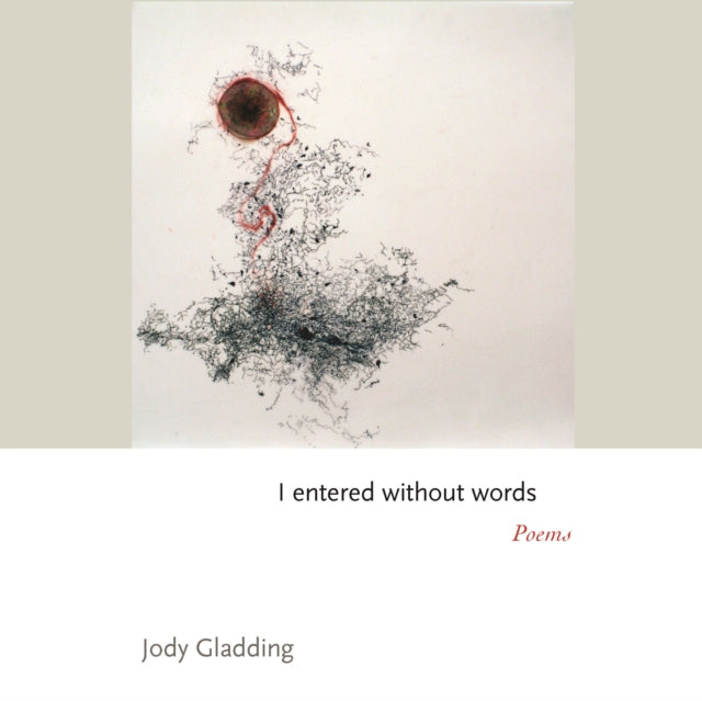 I entered without words: Poems