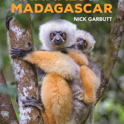 Handbook of Mammals of Madagascar