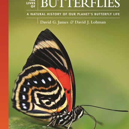 The Lives of Butterflies
