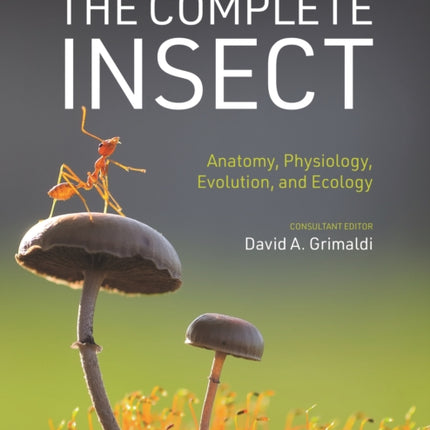 The Complete Insect: Anatomy, Physiology, Evolution, and Ecology