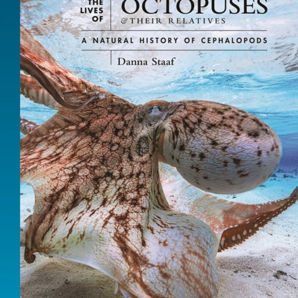 The Lives of Octopuses and Their Relatives: A Natural History of Cephalopods