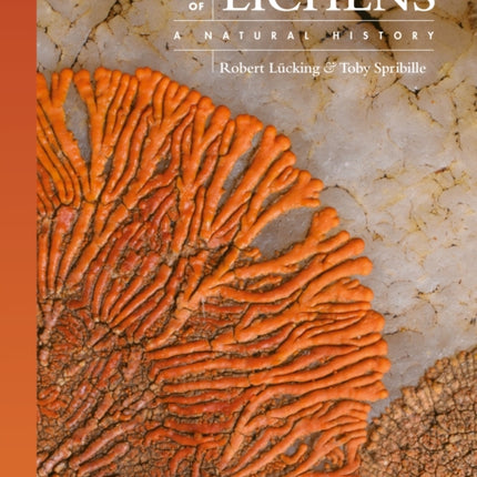 The Lives of Lichens