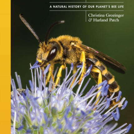 The Lives of Bees