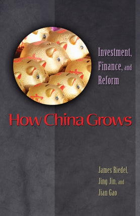 How China Grows: Investment, Finance, and Reform