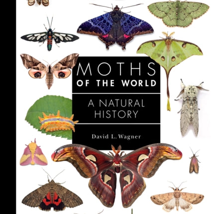 Moths of the World