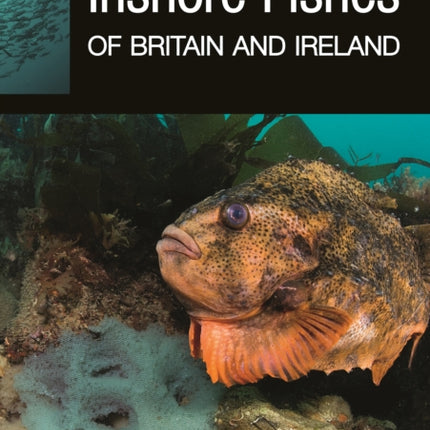 Inshore Fishes of Britain and Ireland