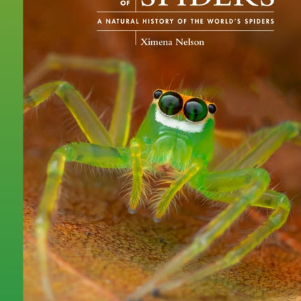 The Lives of Spiders