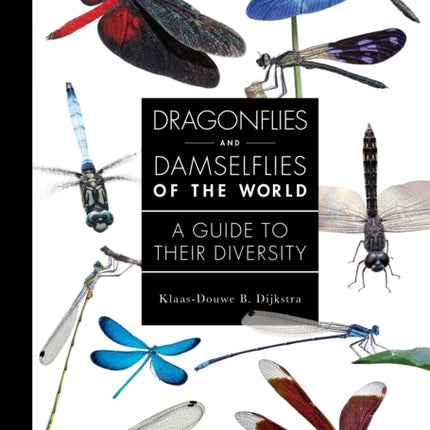 Dragonflies and Damselflies of the World  A Guide