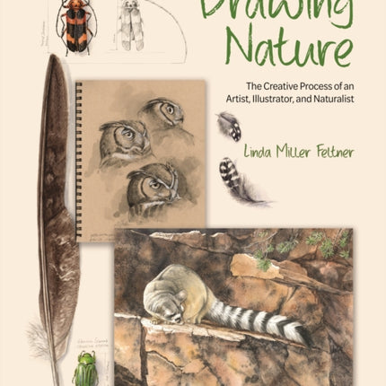 Drawing Nature