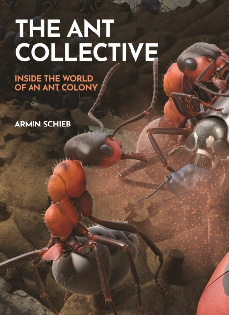 The Ant Collective