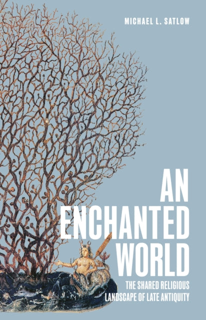 An Enchanted World  The Shared Religious Landscape of Late Antiquity