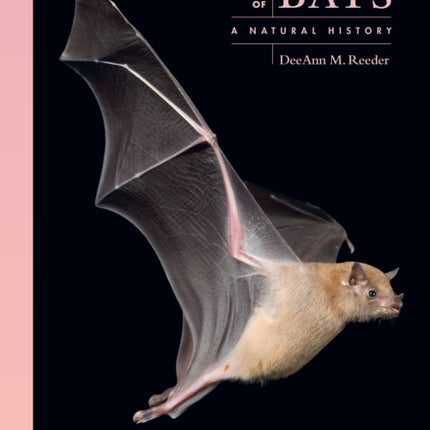 The Lives of Bats  A Natural History