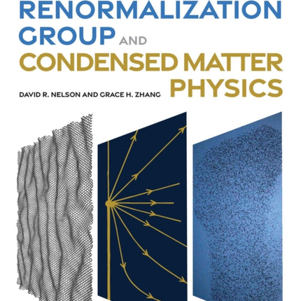 The Renormalization Group and Condensed Matter