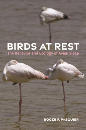 Birds at Rest  The Behavior and Ecology of Avian