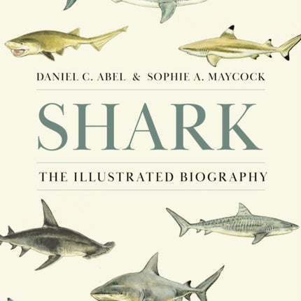 Shark  The Illustrated Biography