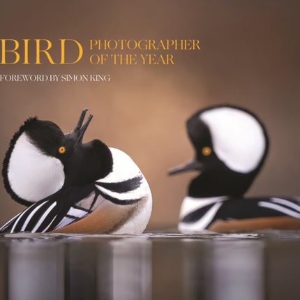 Bird Photographer of the Year  Collection 9