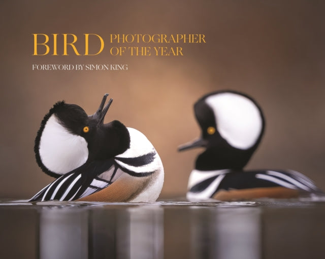 Bird Photographer of the Year  Collection 9