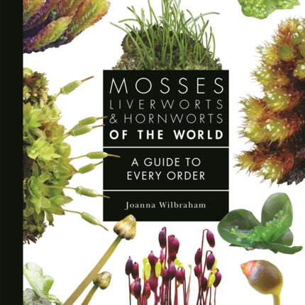 Mosses Liverworts and Hornworts of the World