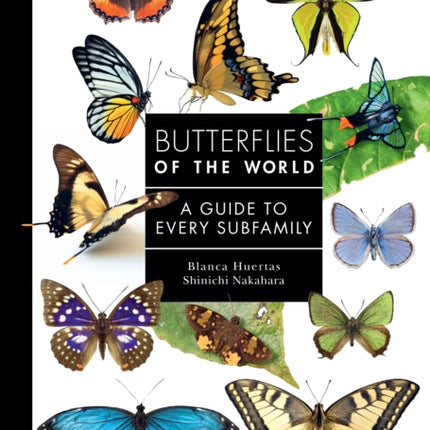 Butterflies of the World
