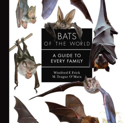 Bats of the World