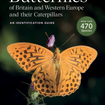 Butterflies of Britain and Western Europe and Their Caterpillars