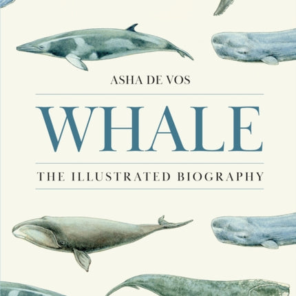 Whale