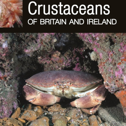 Marine Crustaceans of Britain and Ireland