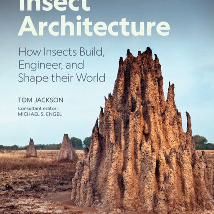Insect Architecture