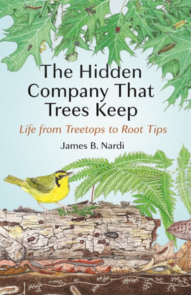 The Hidden Company That Trees Keep  Life from Treetops to Root Tips