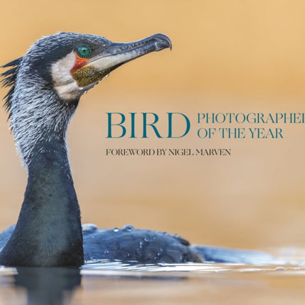 Bird Photographer of the Year