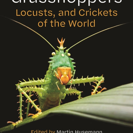 Grasshoppers Locusts and Crickets of the World