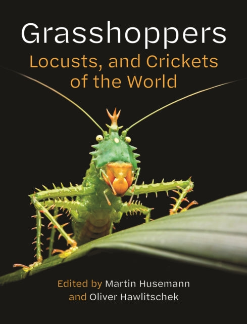 Grasshoppers Locusts and Crickets of the World