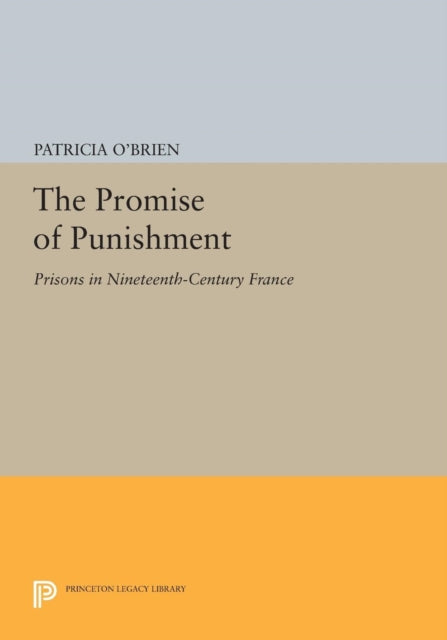 The Promise of Punishment: Prisons in Nineteenth-Century France