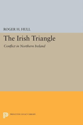 The Irish Triangle  Conflict in Northern Ireland