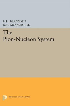 The PionNucleon System