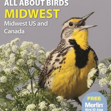 All About Birds Midwest: Midwest US and Canada