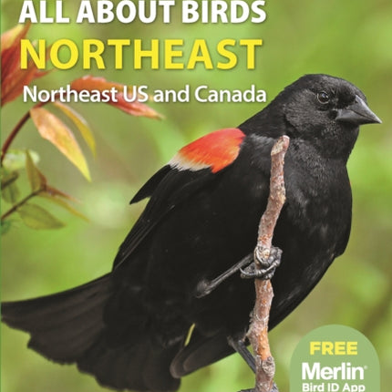 All About Birds Northeast: Northeast US and Canada