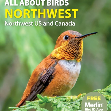 All About Birds Northwest